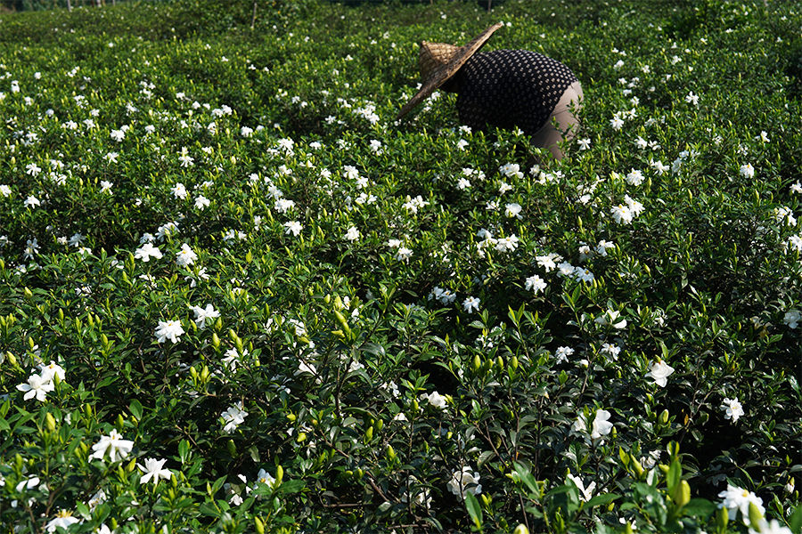 105853106.png 图片9.png